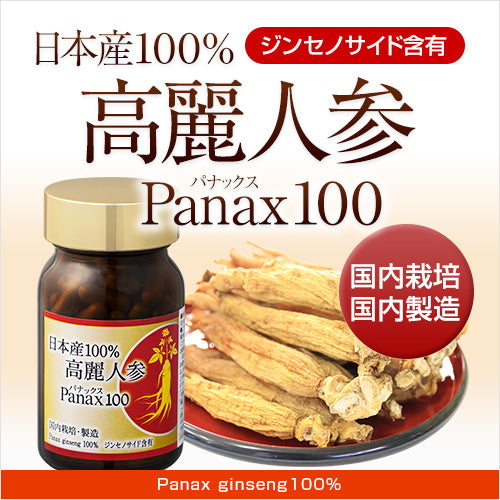 高麗人参 次回8月下旬発送予定 予約販売＞ 国産 (生)高麗人参100g (15cm