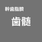 【Live視聴者限定】幹歯脂臍 歯髄 SOISHOP