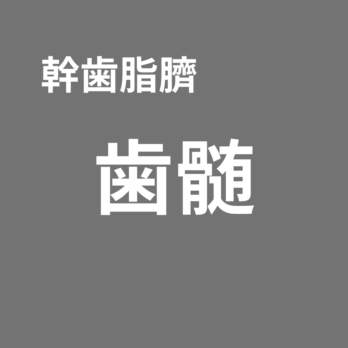 【Live視聴者限定】幹歯脂臍 歯髄 SOISHOP