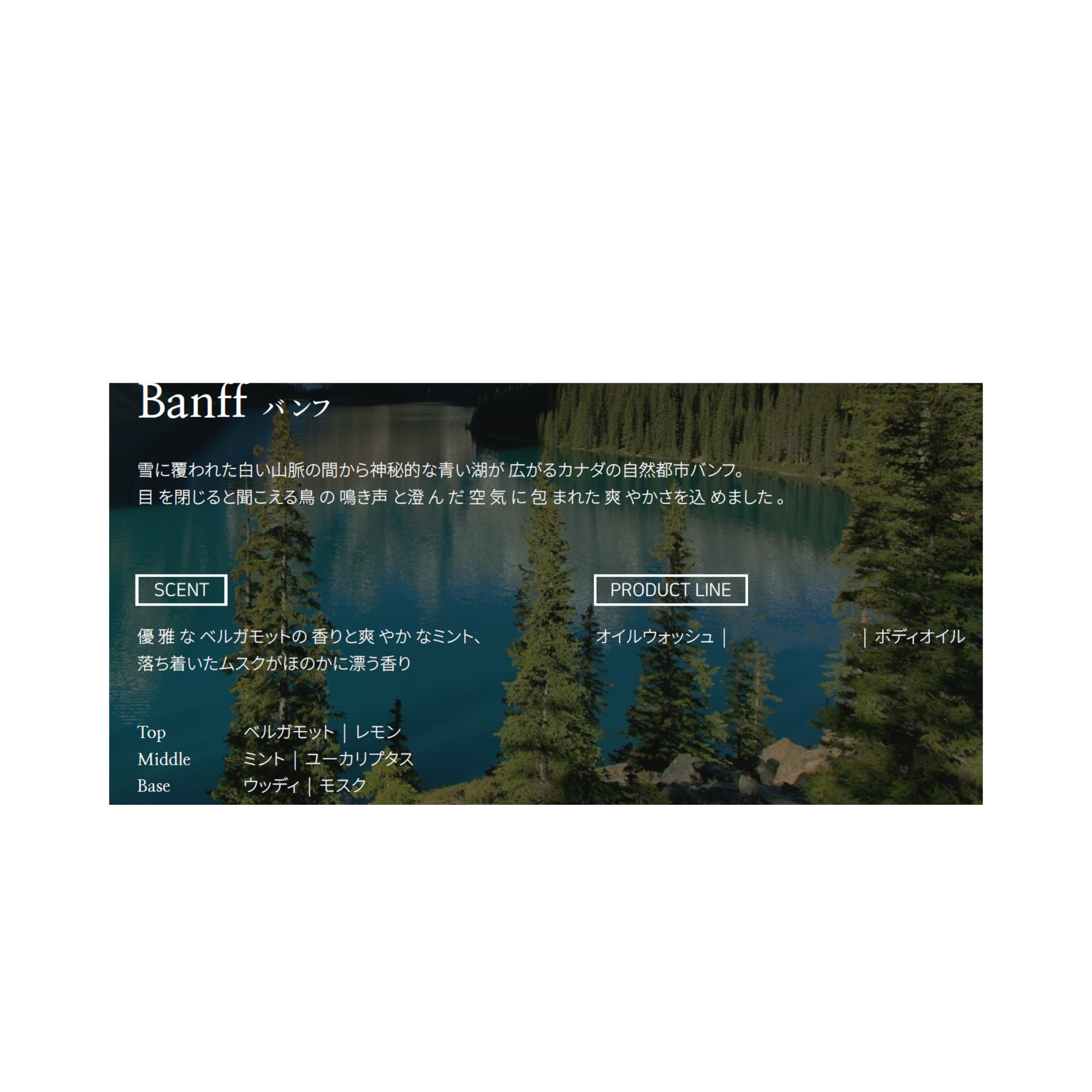 ラコンテル ボディオイルウォッシュ SOISHOP