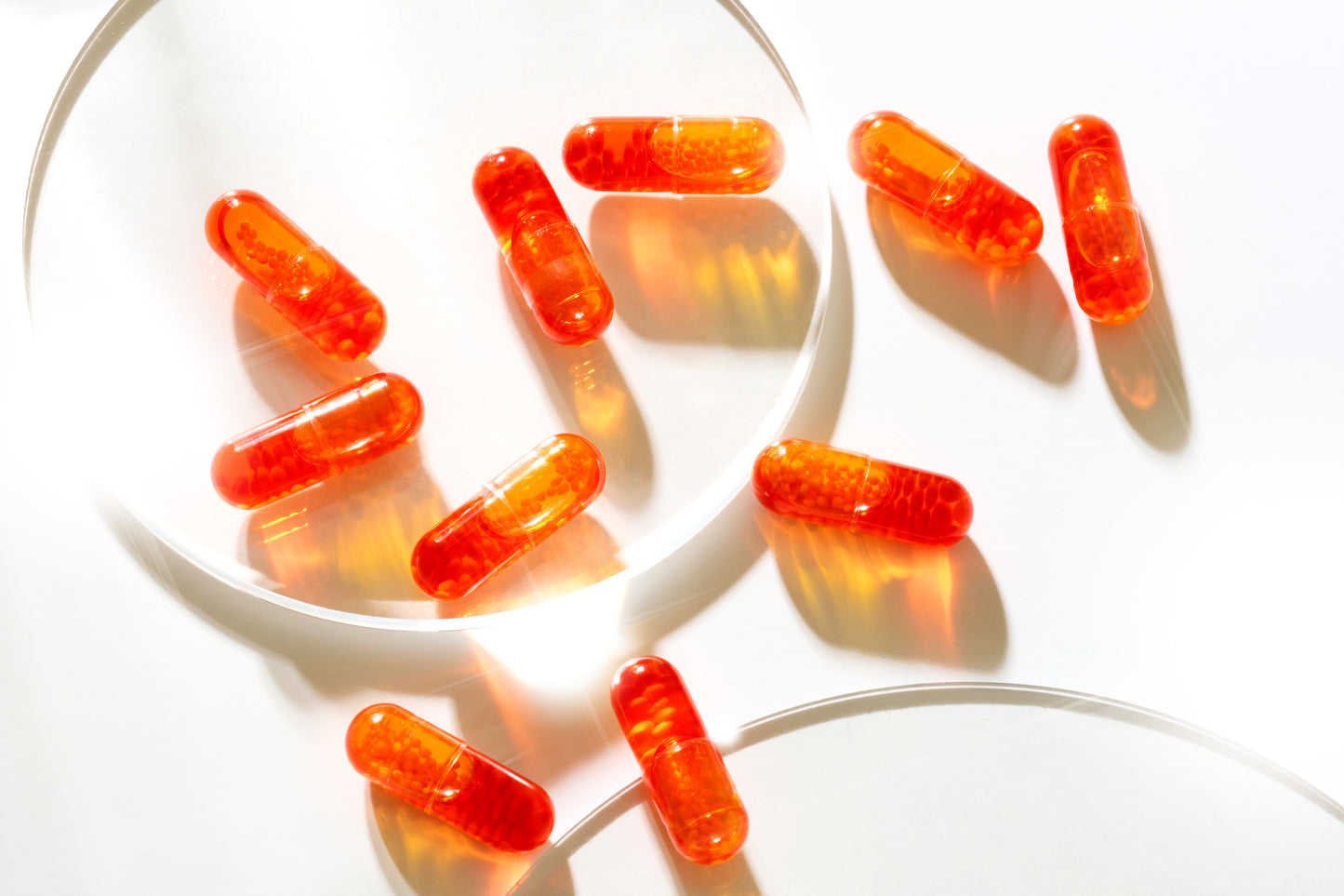 【1/1 朝8時～販売スタート】福袋【Dセット】※ご購入のお願いを必ずお読みになってください SOISHOP