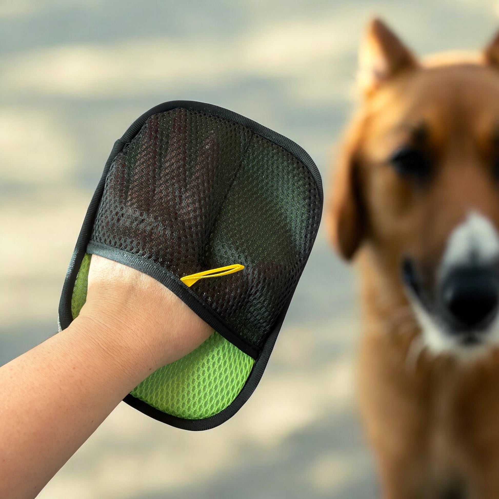 ワンニャングローブ ペット用品 株式会社ソイズ