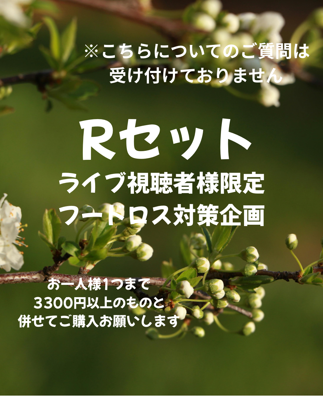 Rセット 株式会社ソイズ