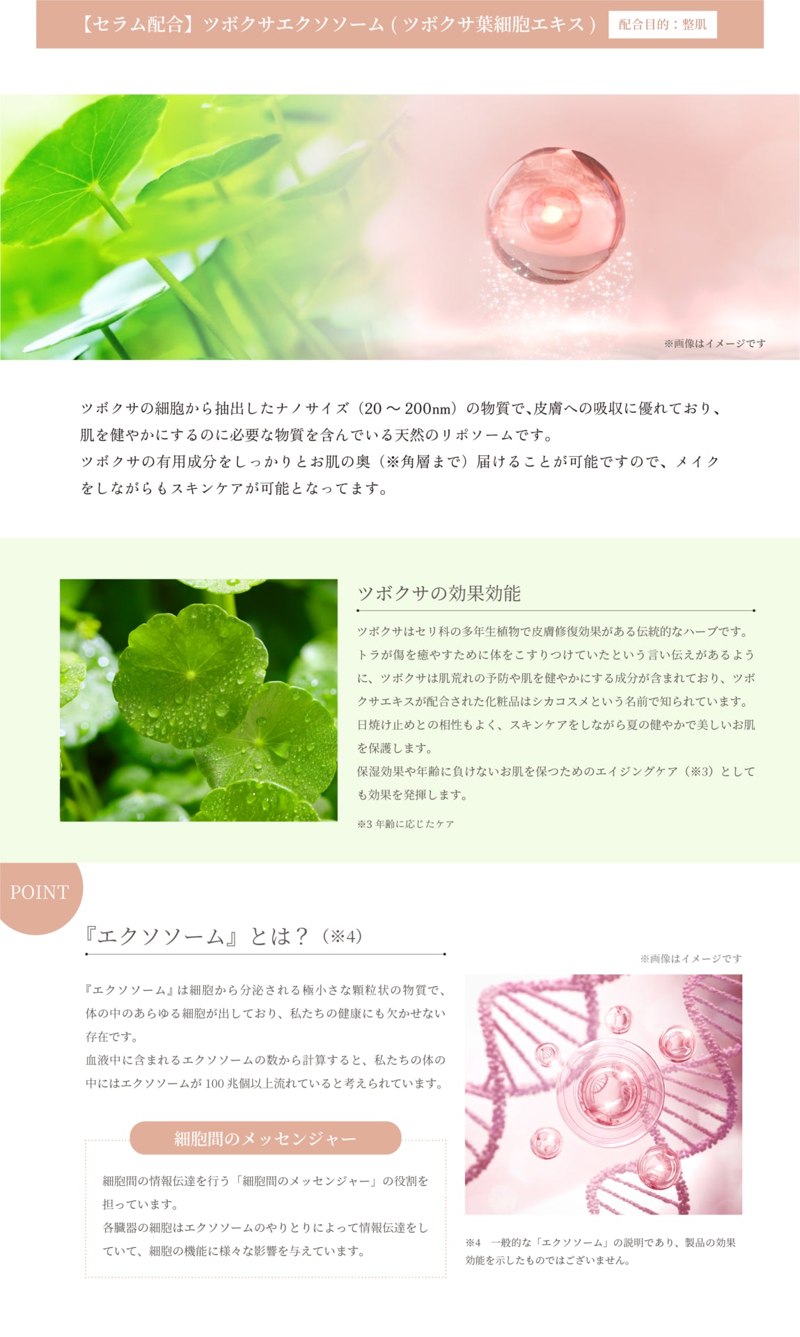 SPICARE V3 particle primer （プライマー）30ml（化粧下地） SOISHOp.onelinestore