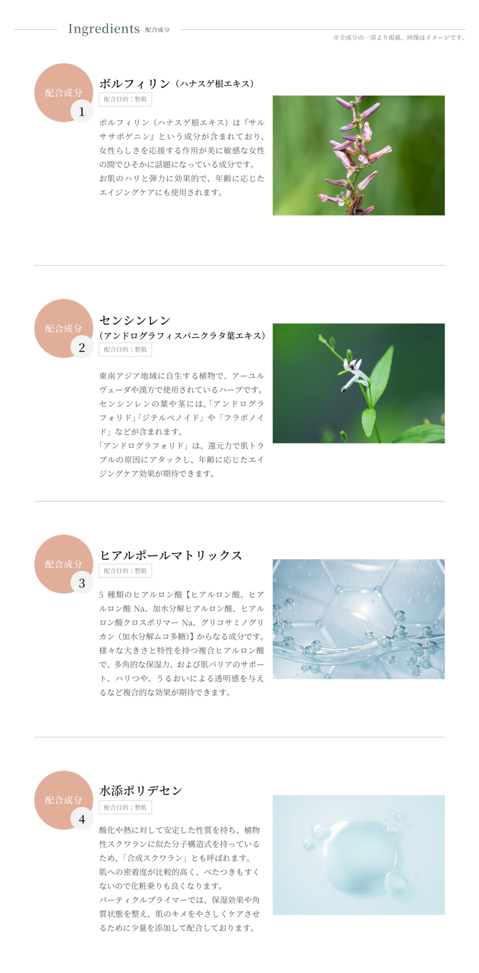 SPICARE V3 particle primer （プライマー）30ml（化粧下地） SOISHOp.onelinestore