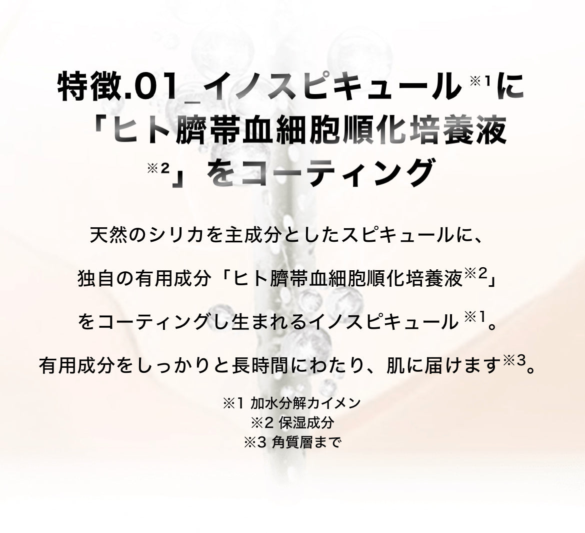 SPICARE V3 Exciting Foundation（エキサイティングファンデーション）本体 SOISHOp.onelinestore