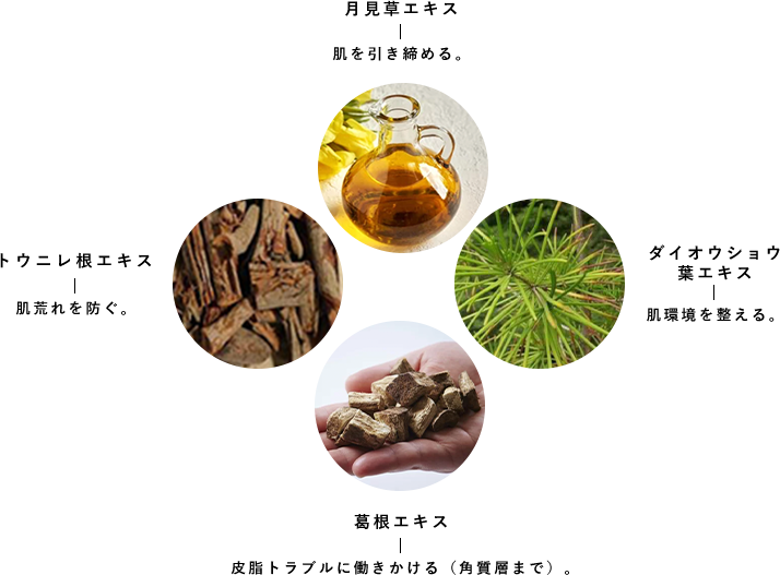 SPICARE V3 Exciting Foundation（エキサイティングファンデーション）本体 SOISHOp.onelinestore