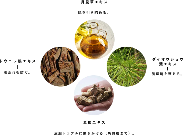 SPICARE V3 Exciting Foundation（エキサイティングファンデーションレフィル）15g SOISHOp.onelinestore