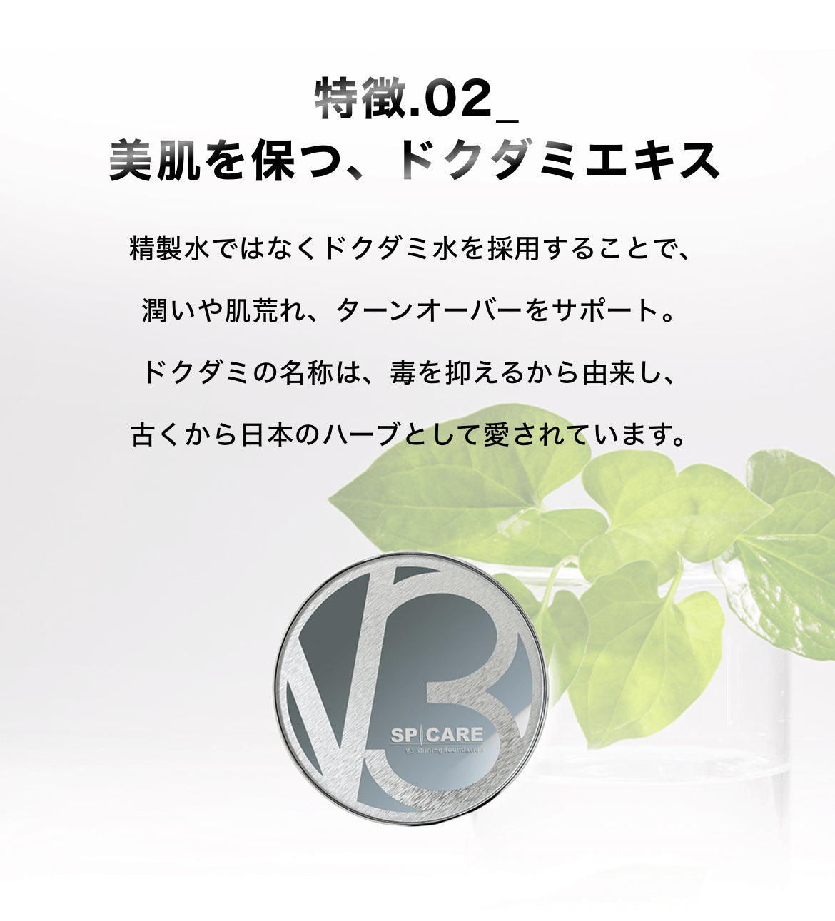 SPICARE V3 Shining Foundation（シャイニングファンデーション）本体 SOISHOp.onelinestore