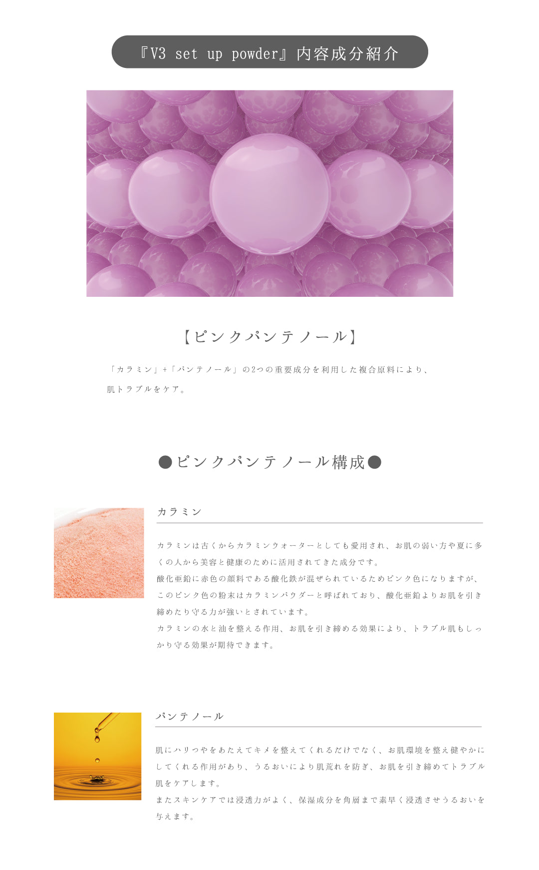 SPICARE V3 set up powder（セットアップパウダー） SOISHOp.onelinestore