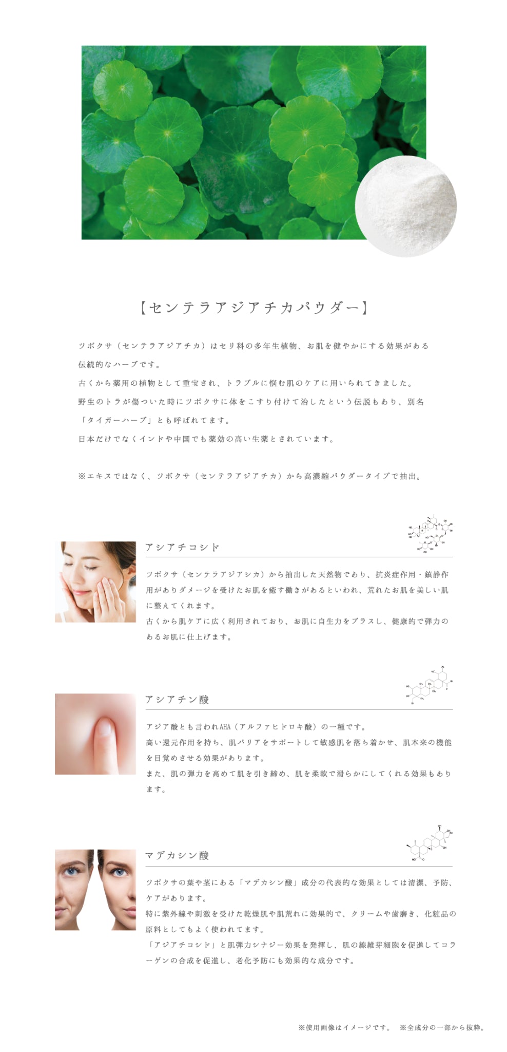 SPICARE V3 set up powder（セットアップパウダー） SOISHOp.onelinestore