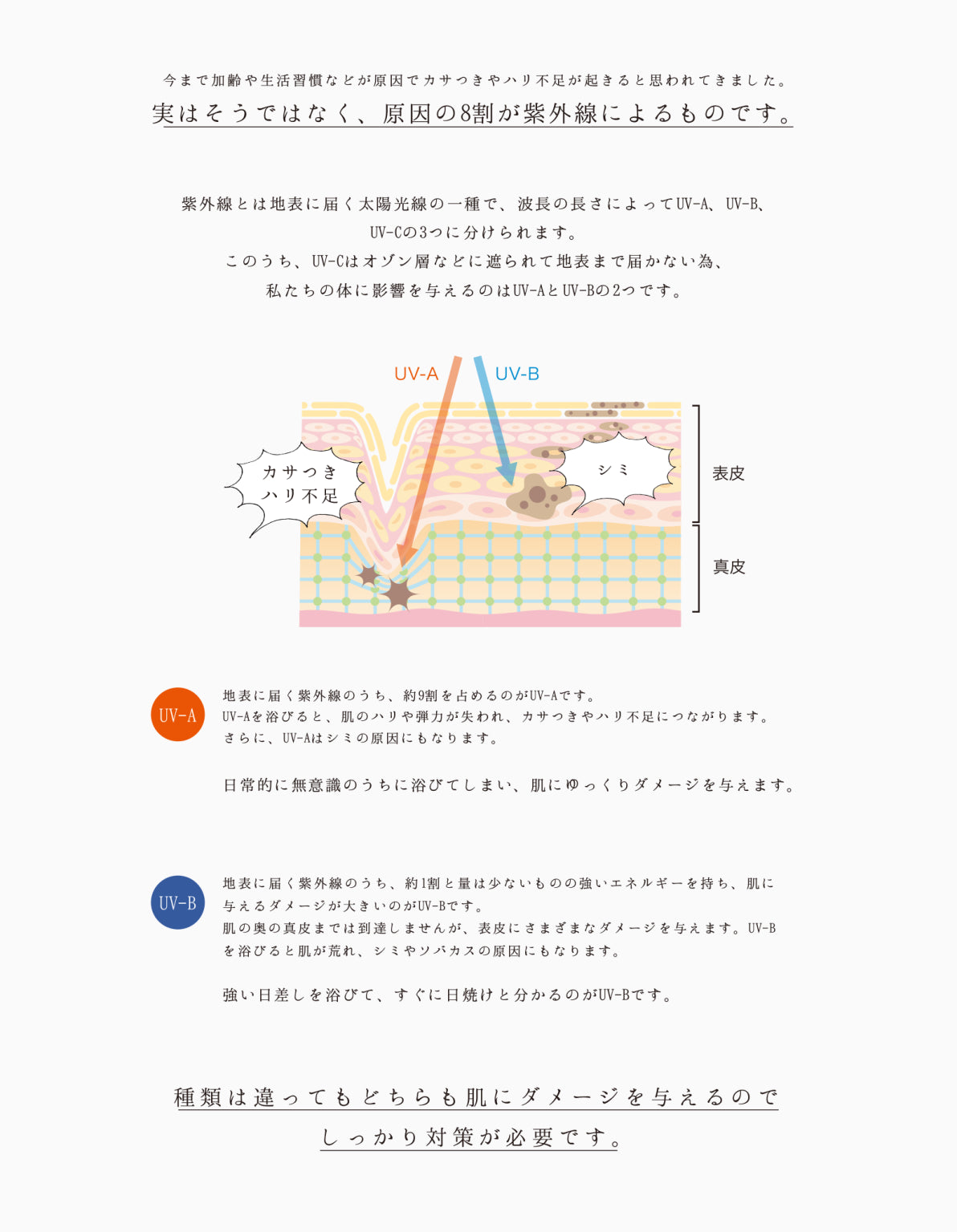 SPICARE V3 Protection Sunscreen（プロテクションサンスクリーン） SOISHOp.onelinestore