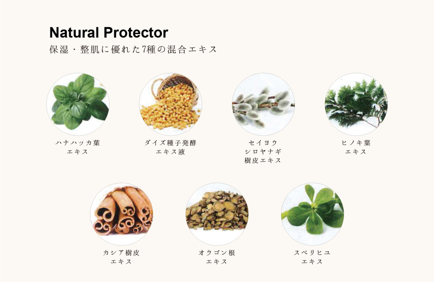 SPICARE V3 Protection Sunscreen（プロテクションサンスクリーン） SOISHOp.onelinestore