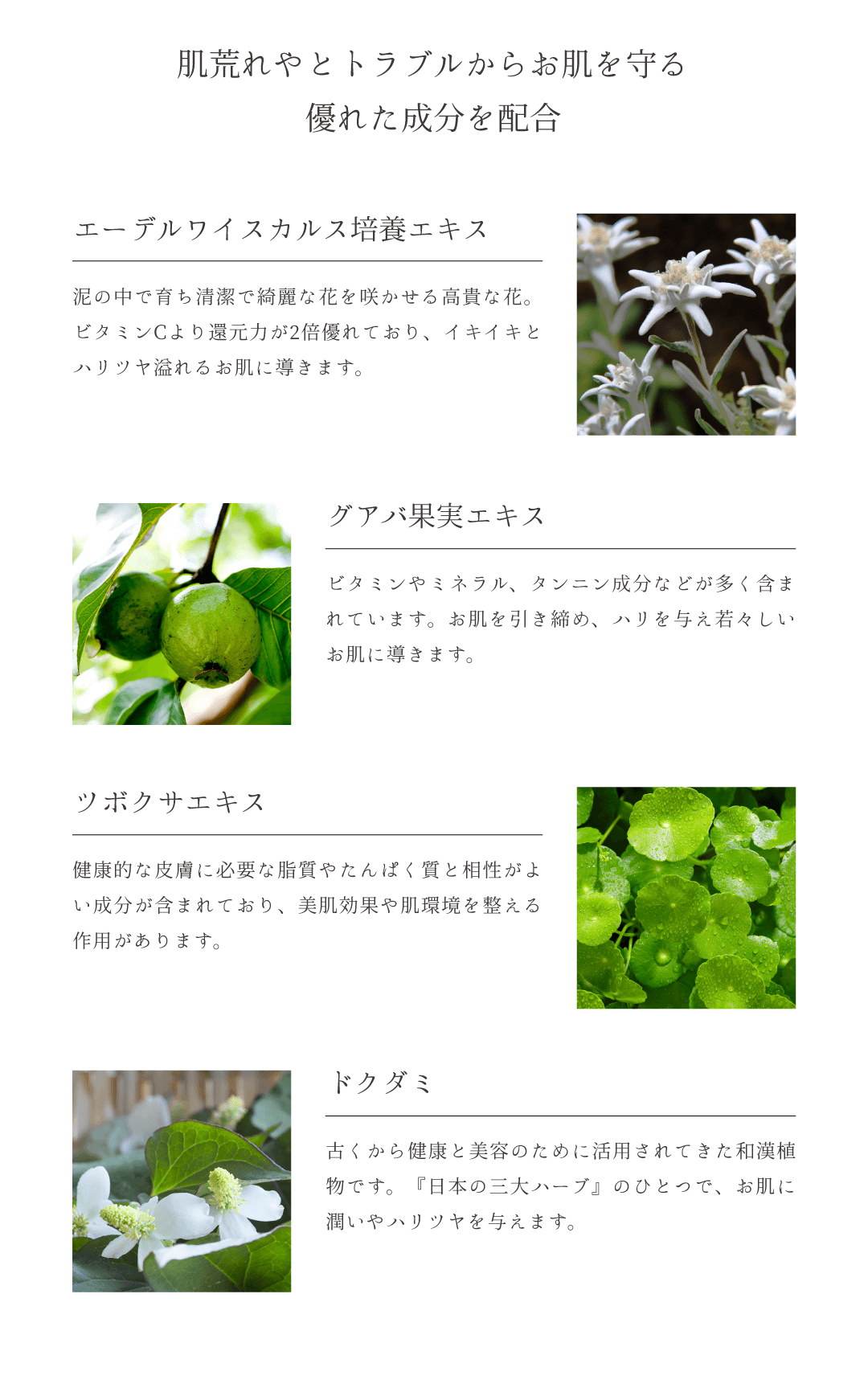 SPICARE V3 hiding concealer（ハイディングコンシーラー） SOISHOp.onelinestore