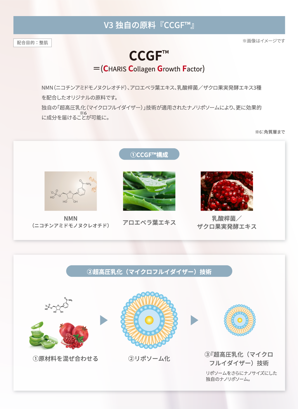 SPICARE V3 Hari Daily Cream（ハリデイリークリーム シーズン2）50ml SOISHOP