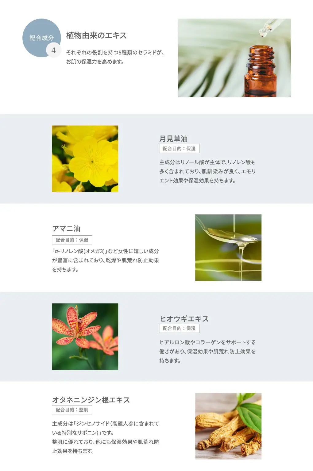 SPICARE V3 Hari Daily Cream（ハリデイリークリーム シーズン2）50ml SOISHOP