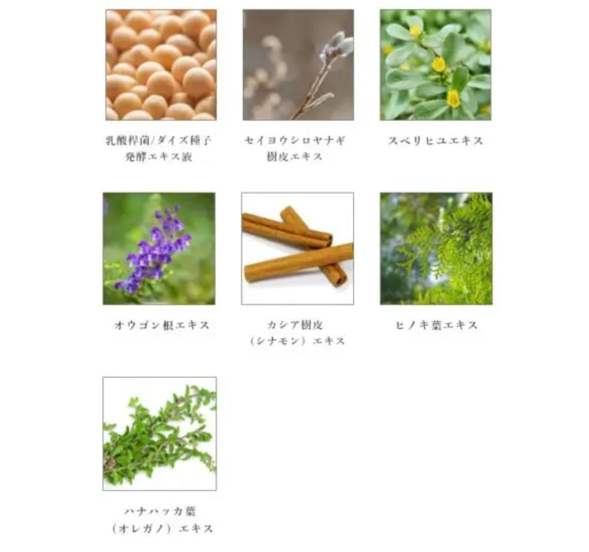 SPICARE V.O.S Moist Refreshing Cleanser（モイストリフレッシングクレンザー）150ml SOISHOP