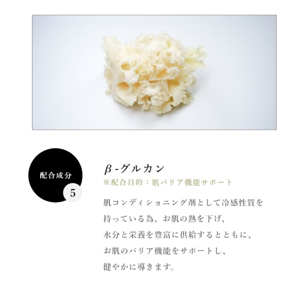 SPICARE V.O.S Moist Refreshing Cleanser（モイストリフレッシングクレンザー）150ml SOISHOP