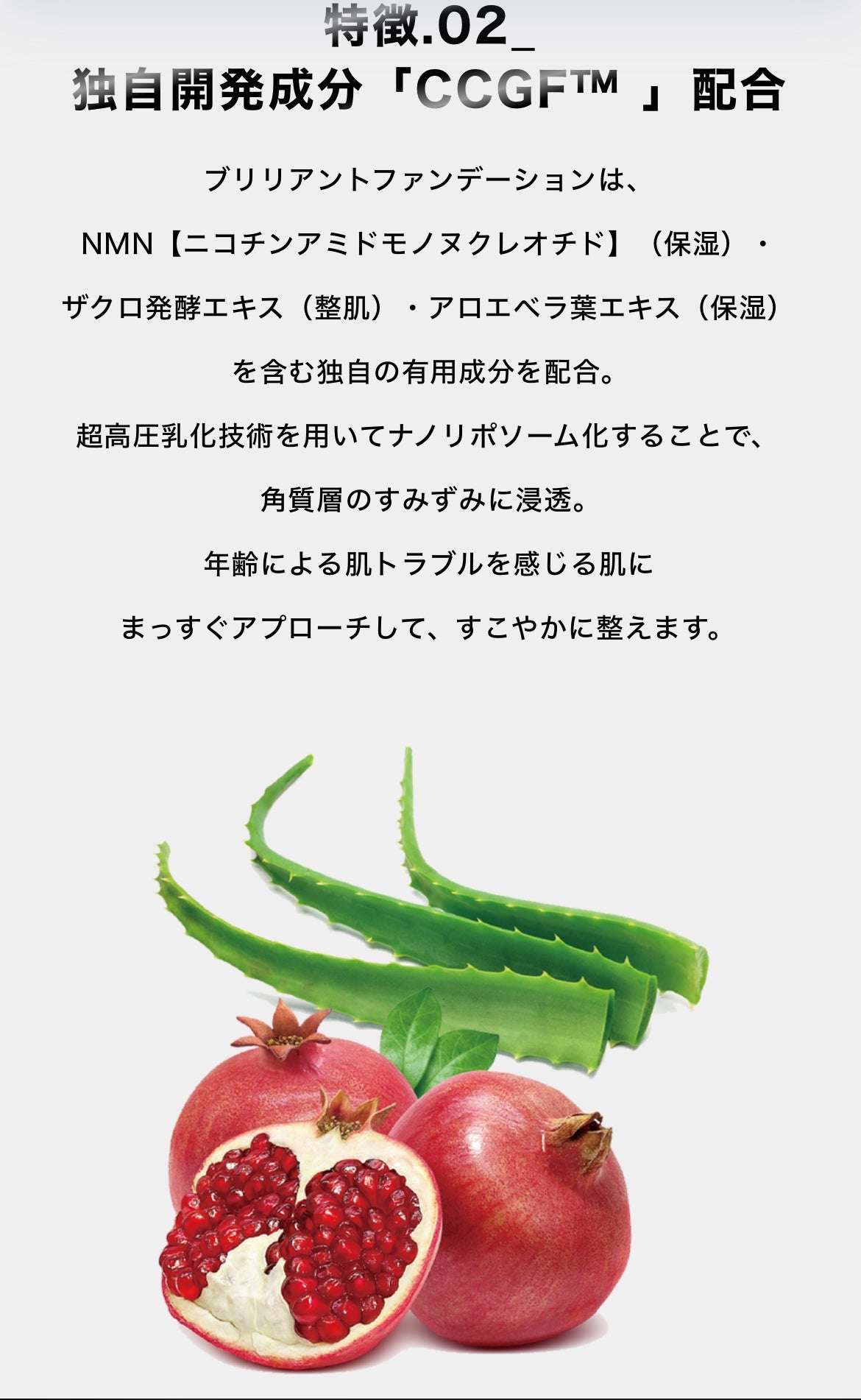 SPICARE V3 brilliant foundation(ブリリアントファンデーションレフィル）15ｇ SOISHOp.onelinestore