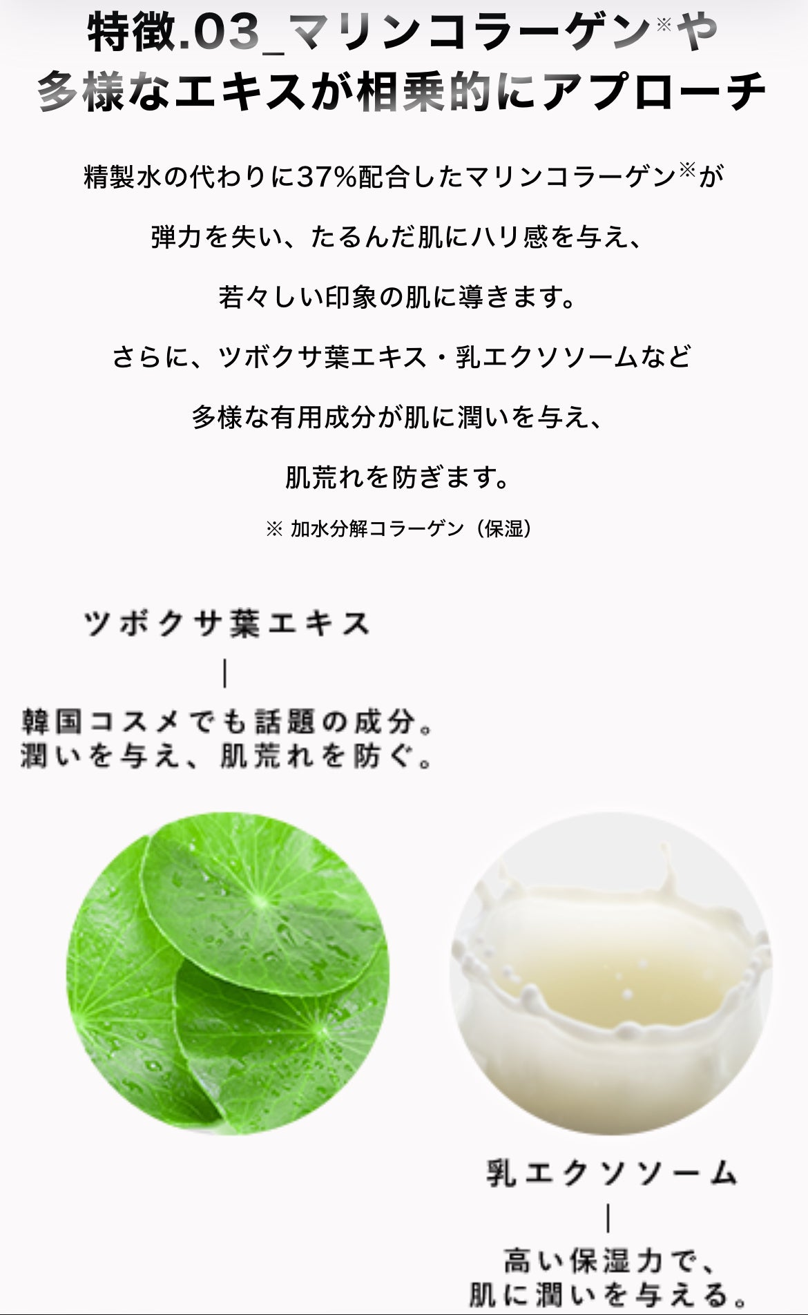 SPICARE V3 brilliant foundation（ブリリアントファンデーション）15ｇ本体 SOISHOp.onelinestore