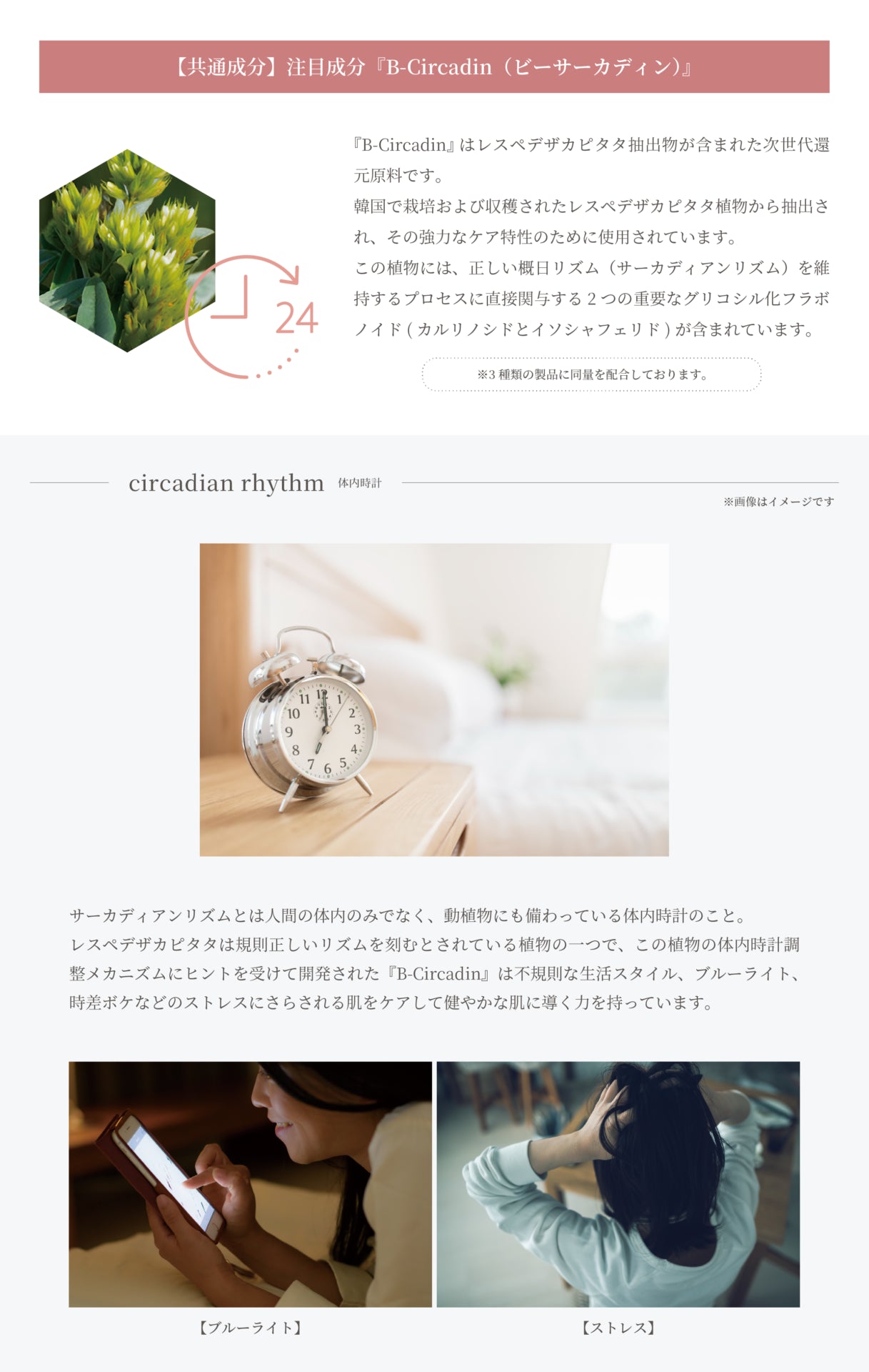 SPICARE tidy rhythm hand cream（タイディリズムハンドクリーム）75ml SOISHOp.onelinestore