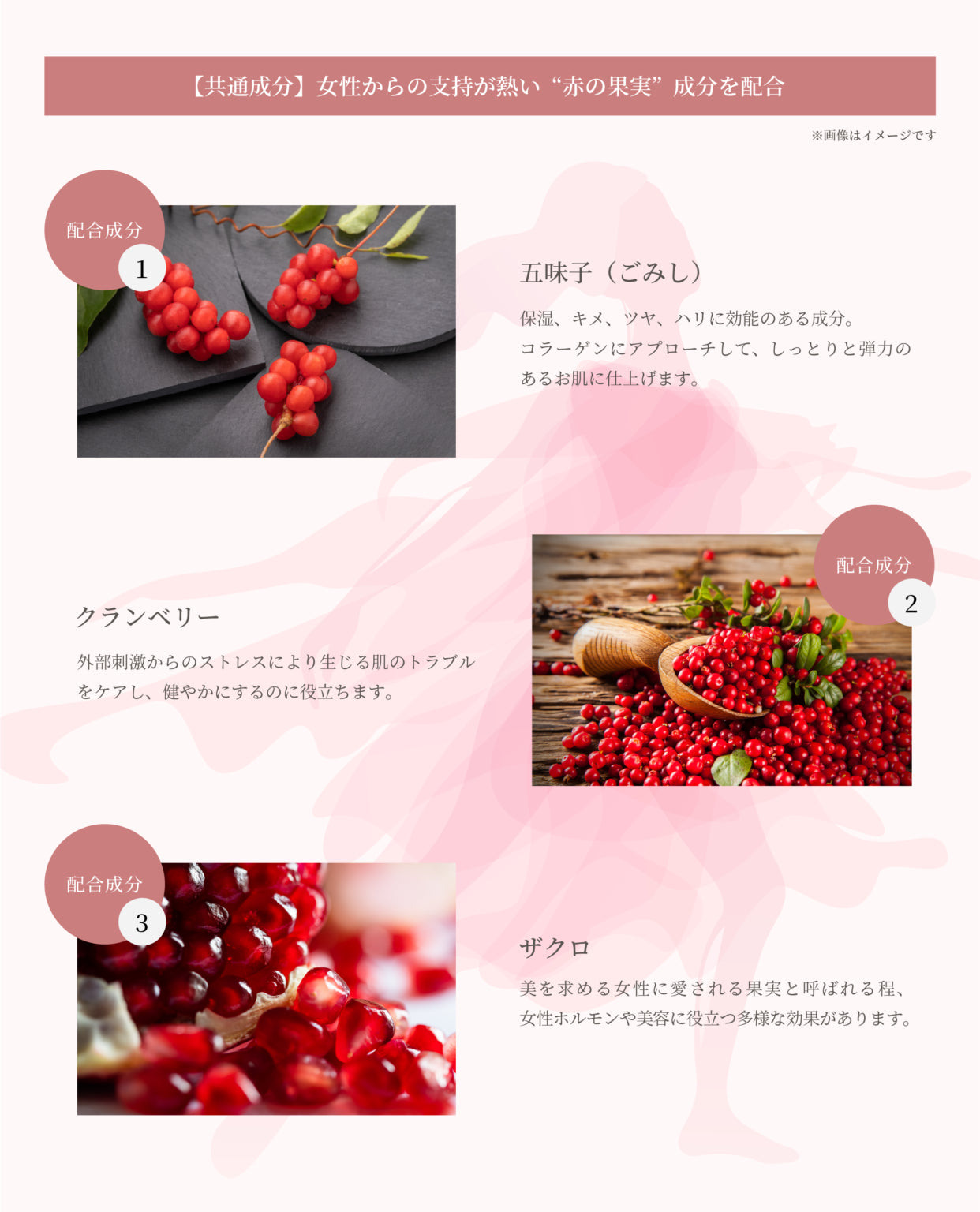 SPICARE tidy rhythm hand cream（タイディリズムハンドクリーム）75ml SOISHOp.onelinestore