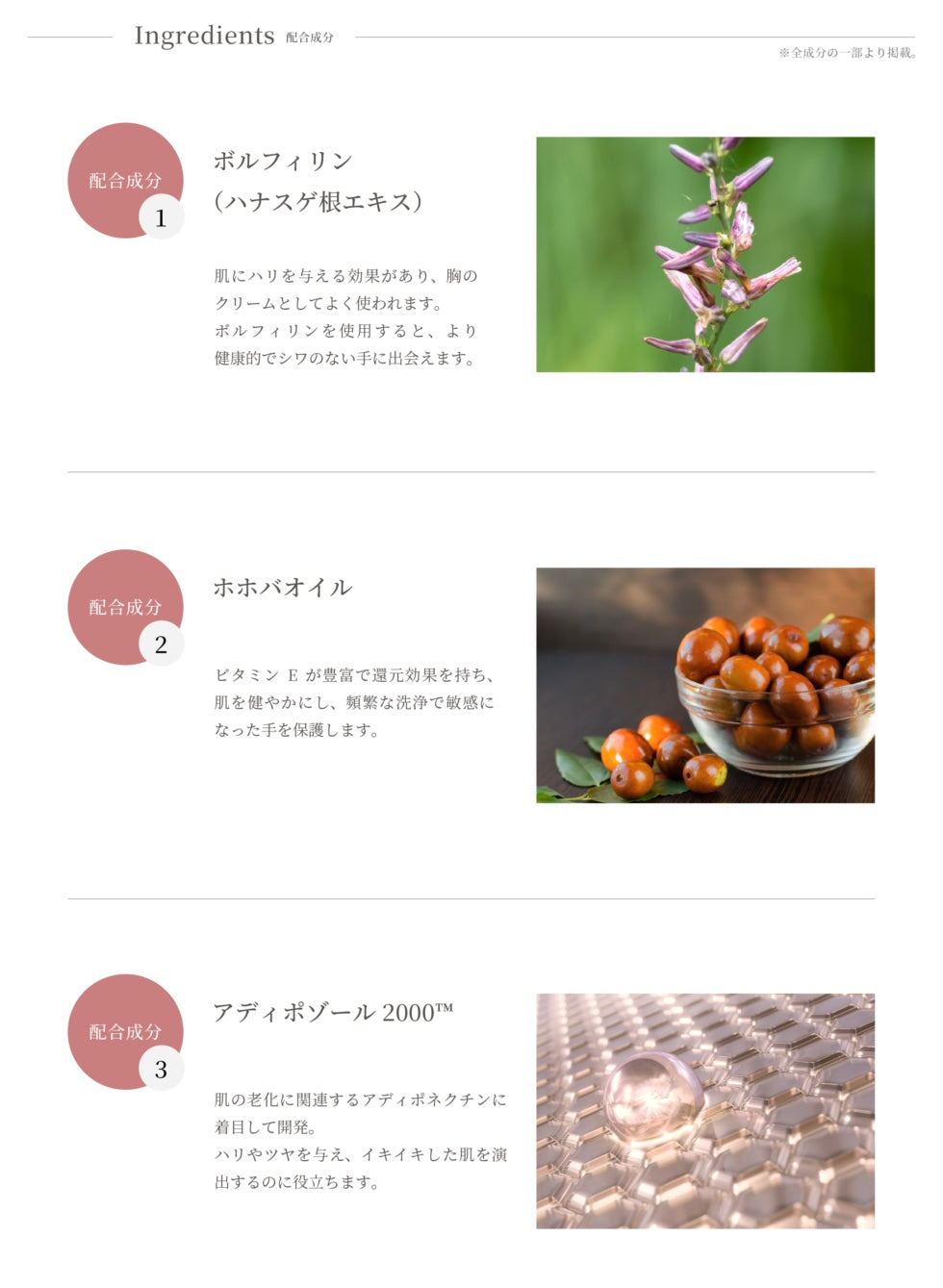 SPICARE tidy rhythm hand cream（タイディリズムハンドクリーム）75ml SOISHOp.onelinestore