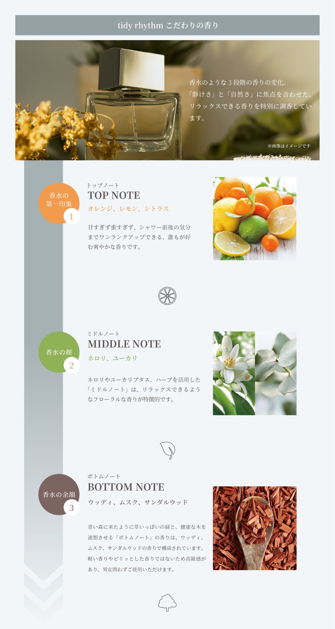 SPICARE tidy rhythm hand cream（タイディリズムハンドクリーム）75ml SOISHOp.onelinestore