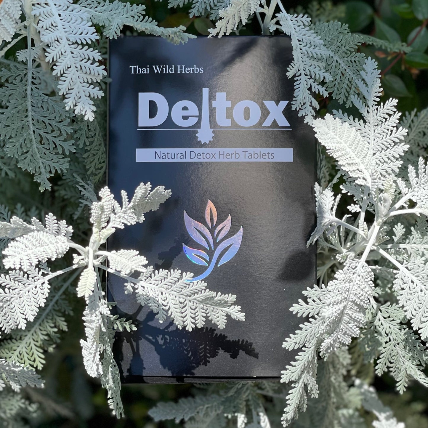 DELTOX（デルトックス）ナチュラルデトックスハーブタブレット240粒 SOISHOP