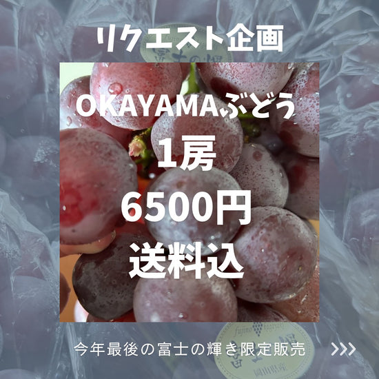 【リクエスト企画】OKAYAMAぶどう 1房 食品 株式会社ソイズ