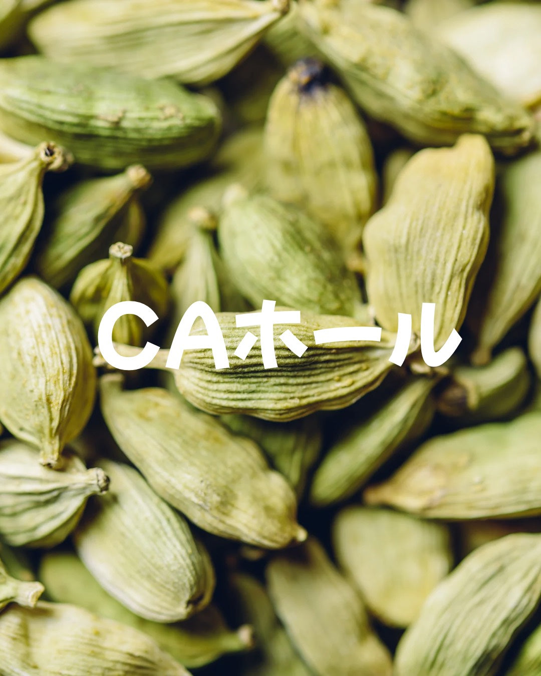 【3/17 18時～販売スタート】☆CA 各20g ホール 食品 株式会社ソイズ