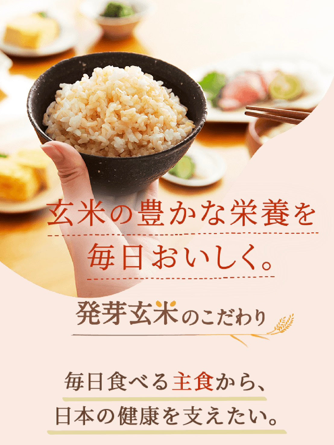 【6/3 18時～販売スタート】FANCL 国内産玄米 発芽米 750g 食品 FANCL