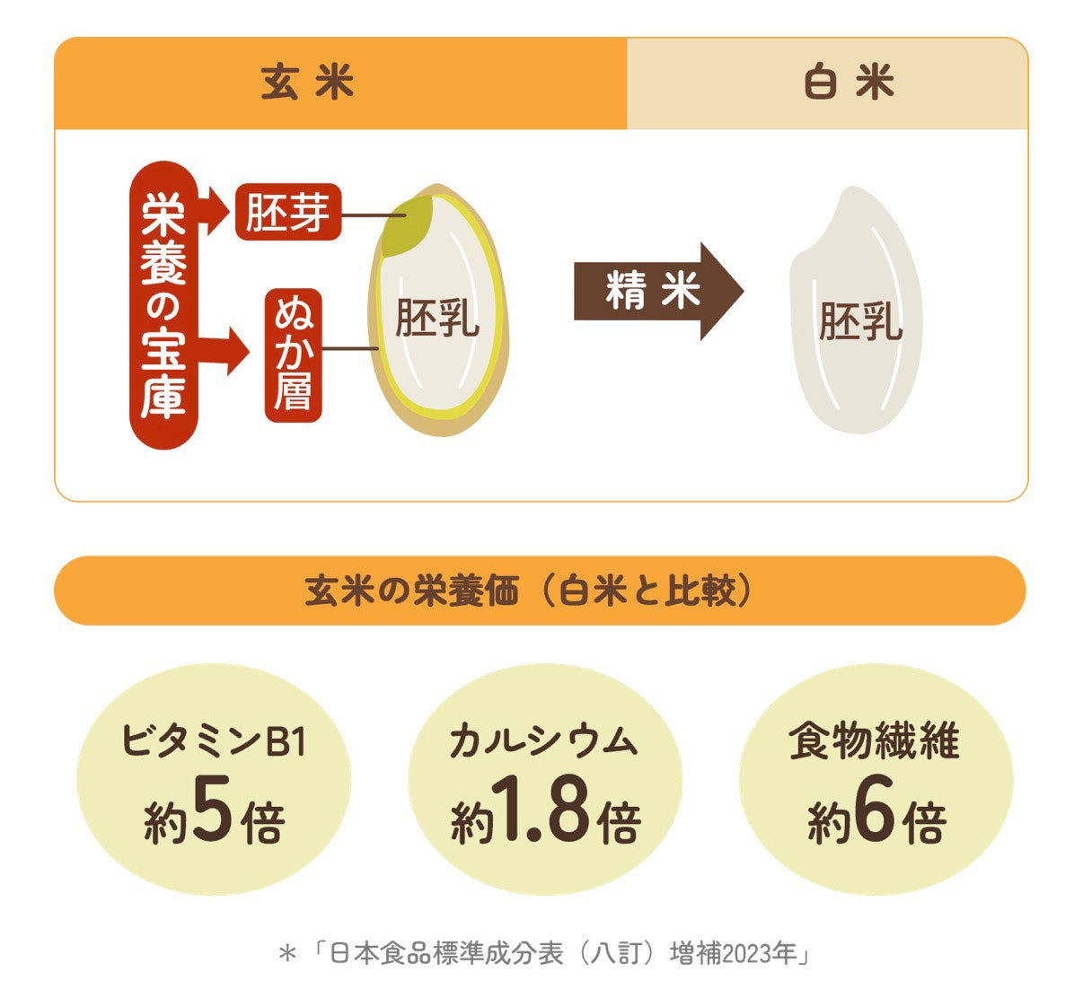 【6/3 18時～販売スタート】FANCL 国内産玄米 発芽米 750g 食品 FANCL