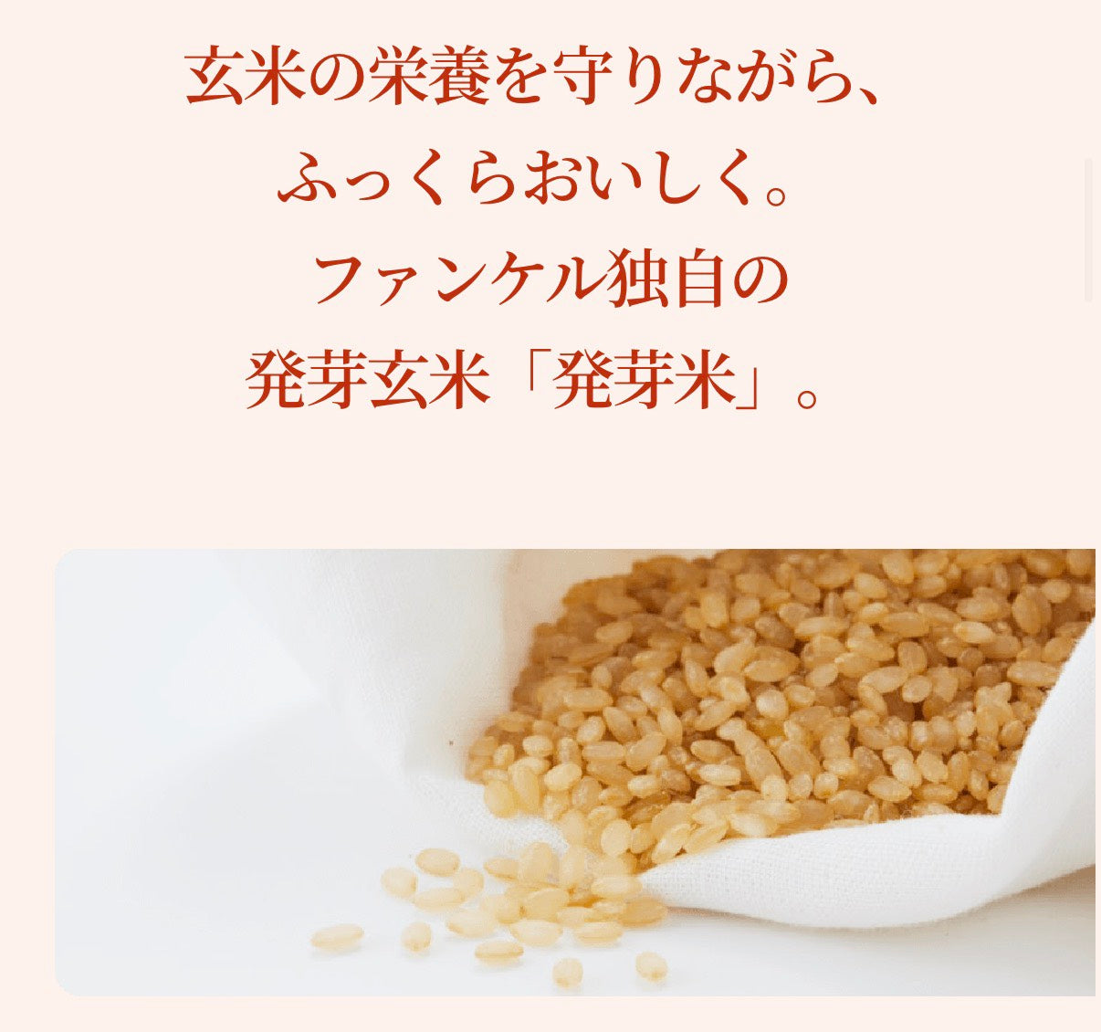 【6/3 18時～販売スタート】FANCL 国内産玄米 発芽米 750g 食品 FANCL