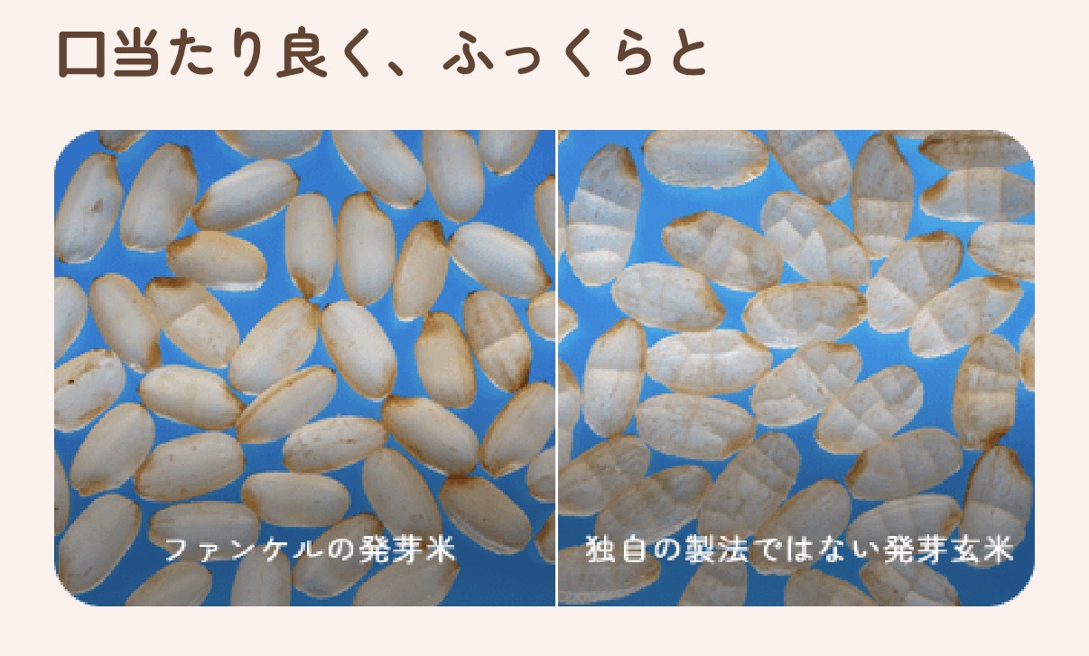【6/3 18時～販売スタート】FANCL 国内産玄米 発芽米 750g 食品 FANCL