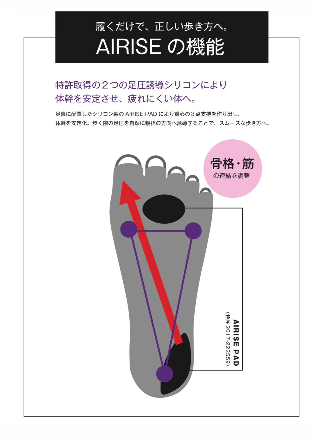AIRISE FIT（エアライズフィット） 生活 株式会社ソイズ