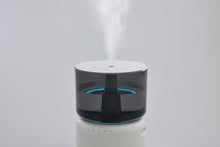 ☆cado オートクリーン加湿器 STEM 500H / HM-C500H 家電 cado